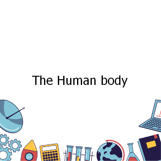 The Human body